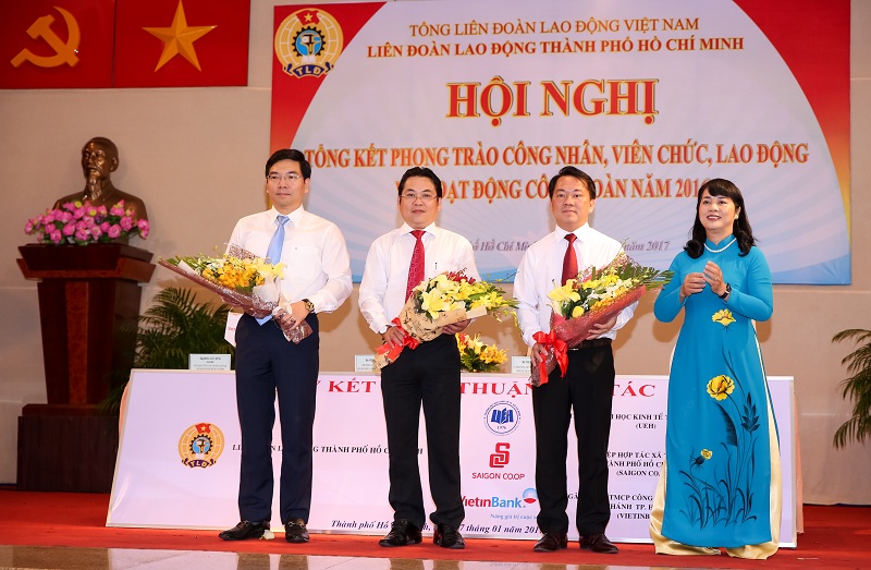 cá cược thể thao hul city